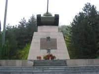 /album/ostrava/wci%c4%85%c5%bc%20%c5%bcywa%20pami%c4%99%c4%87%20minionej%20epoki%201-jpg/